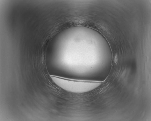 X0000076041299200609221109