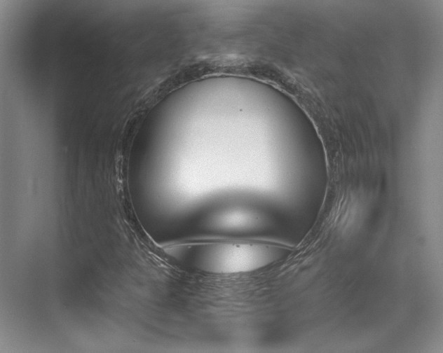 X0000076041301200609221109