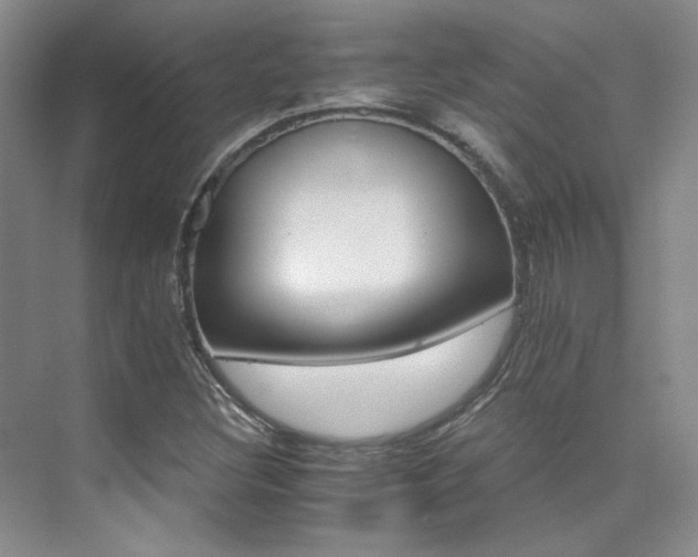 X0000076041308200609221109