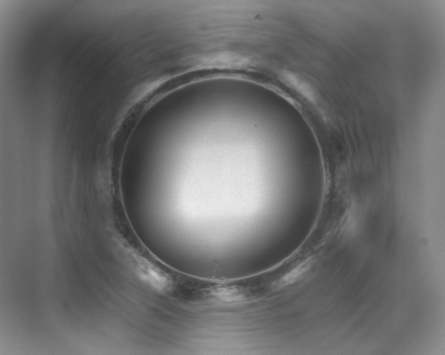 X0000076041315200609221109