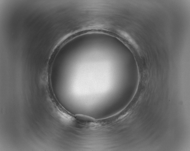 X0000076041316200609221109