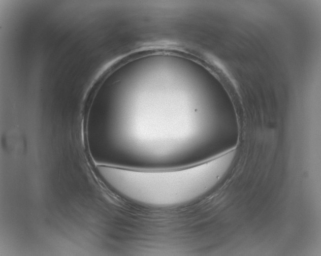 X0000076041320200609221109