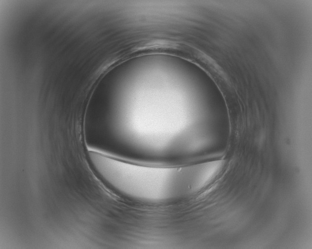 X0000076041321200609221109