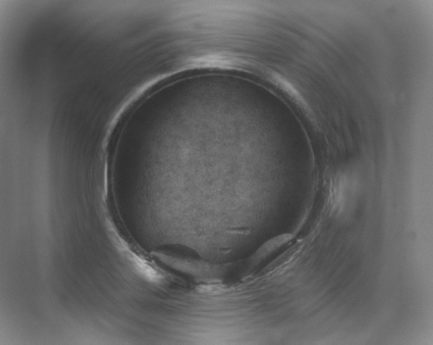 X0000076041323200609221109