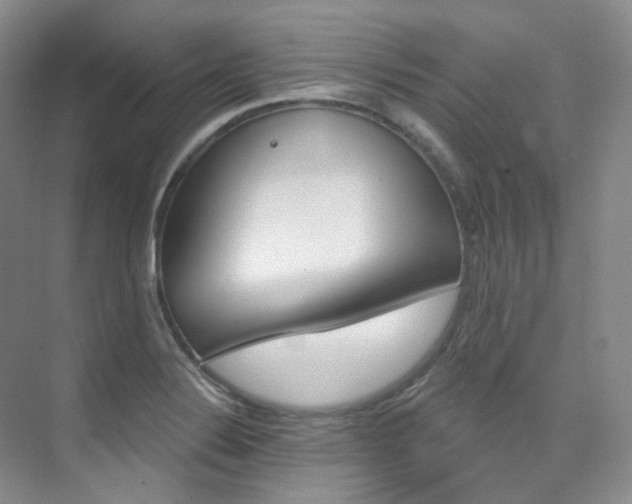 X0000076041324200609221109
