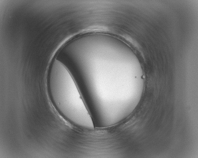 X0000076041325200609221109