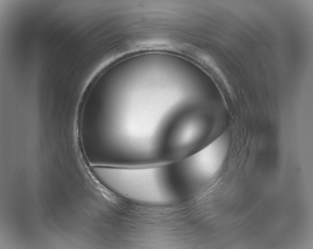 X0000076041328200609221109