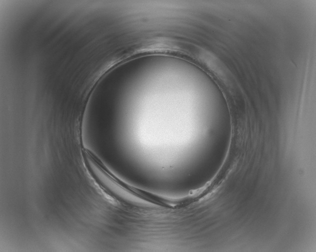 X0000076041329200609221110