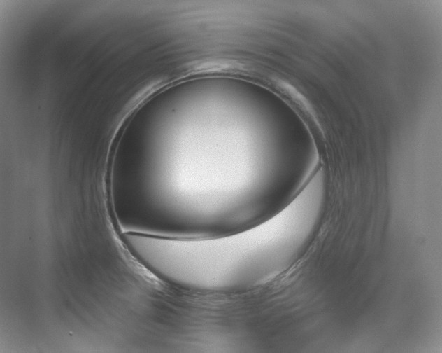 X0000076041330200609221110