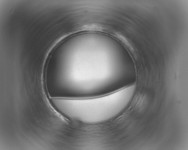X0000076041331200609221110
