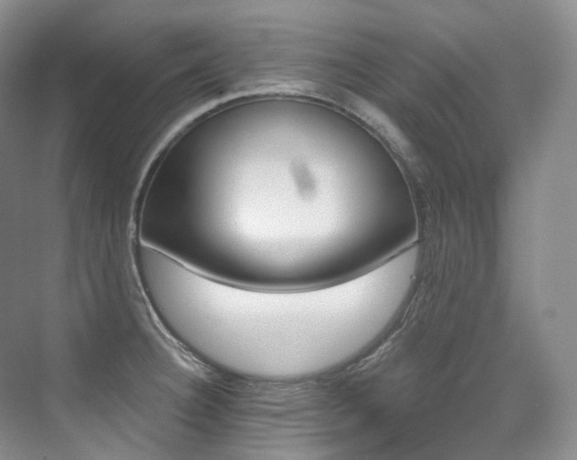 X0000076041332200609221110