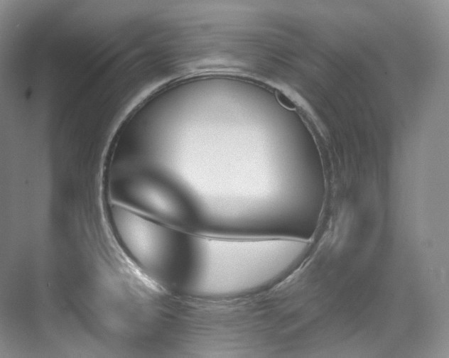 X0000076041333200609221110