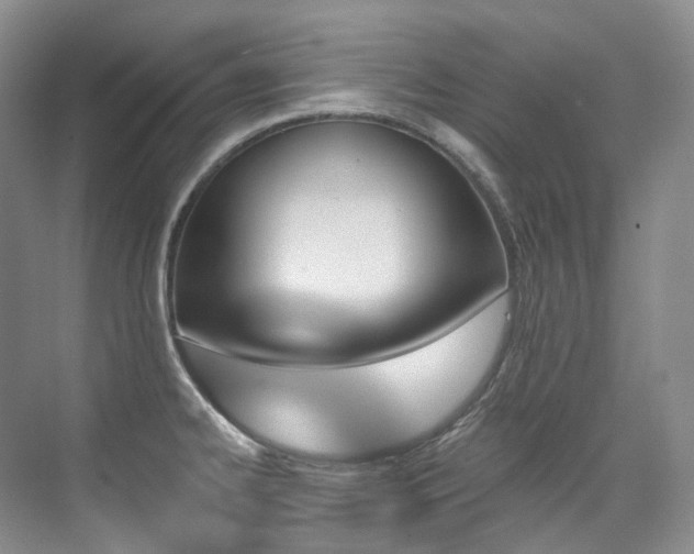 X0000076041334200609221110