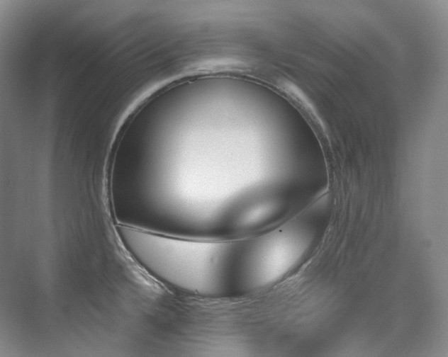 X0000076041336200609221110