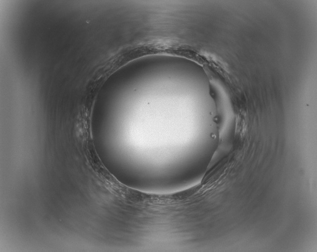 X0000076041349200609221109