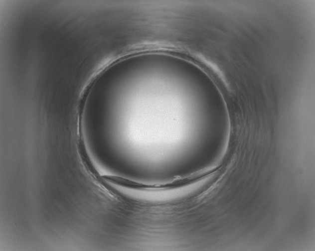 X0000076041365200609221109
