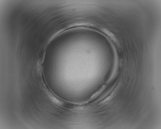 X0000076041369200609221109