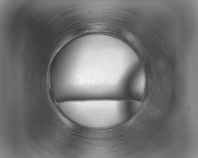 X0000076041370200609221109