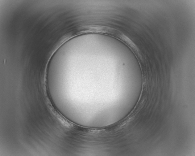 X0000076041378200609221108