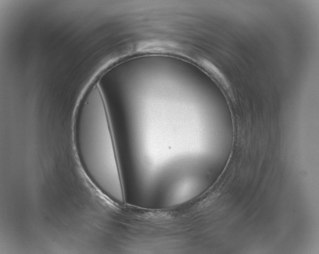 X0000076041384200609221108