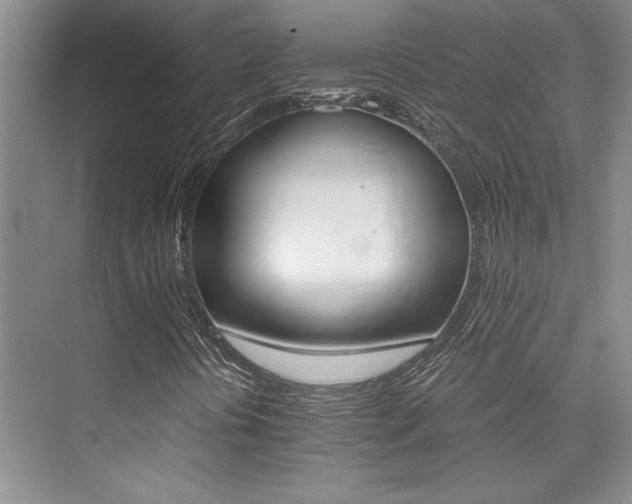 X0000076041394200609221107