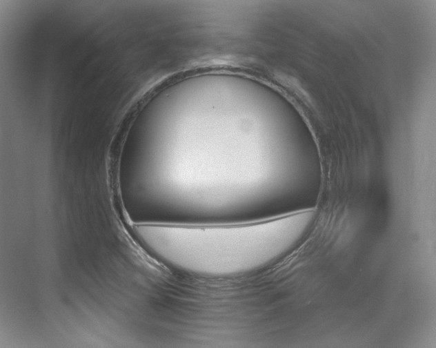 X0000076041404200609221108