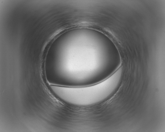 X0000076041410200609221108