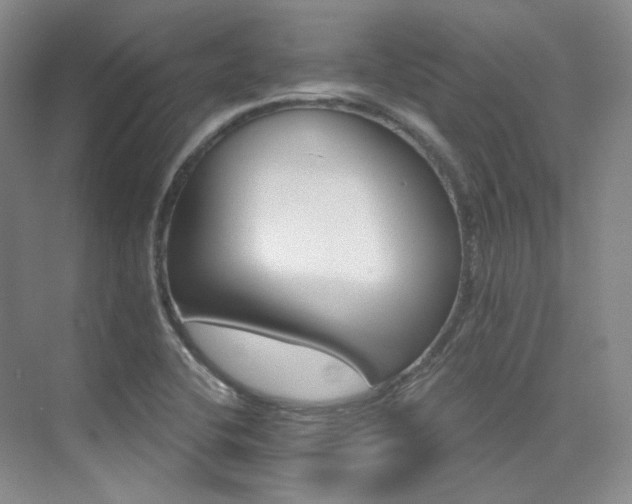 X0000076041412200609221108