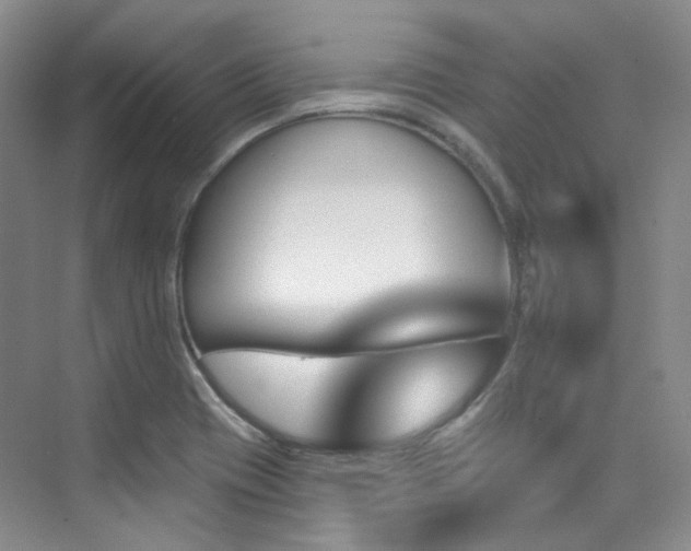 X0000076041417200609221108