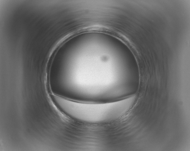 X0000076041418200609221108