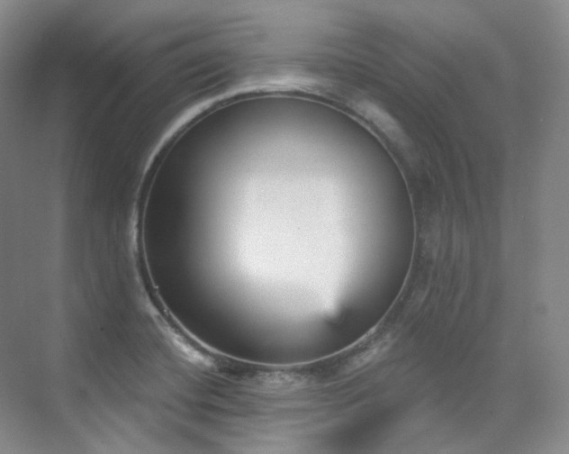 X0000076041420200609221108
