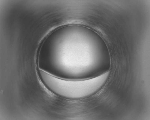 X0000076041422200609221108