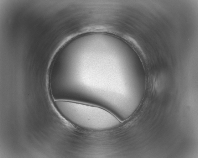 X0000076041424200609221108