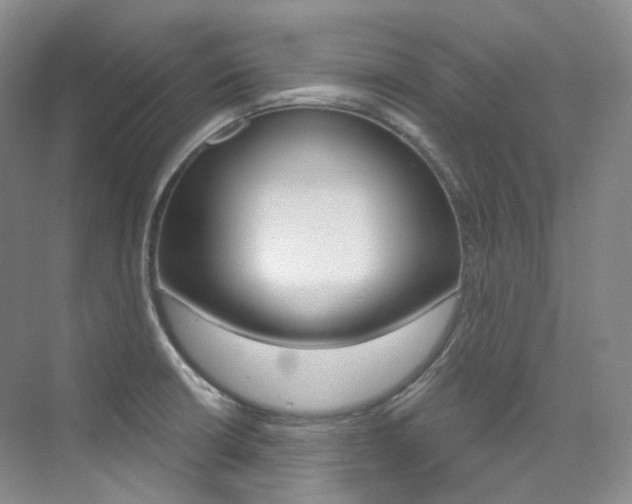 X0000076041426200609221108