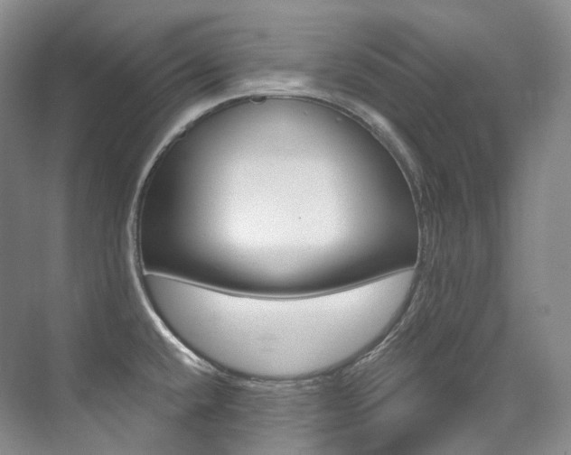 X0000076041432200609221108