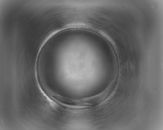 X0000076041440200609221108