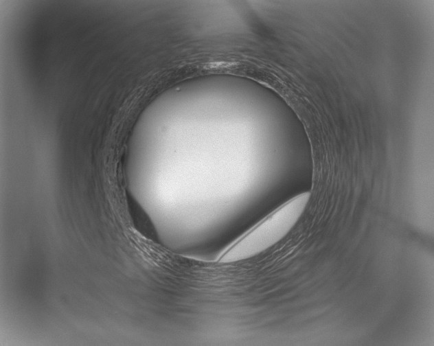 X0000076041441200609221107