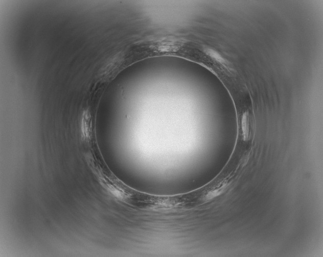 X0000076041443200609221107