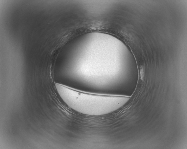 X0000076041444200609221107