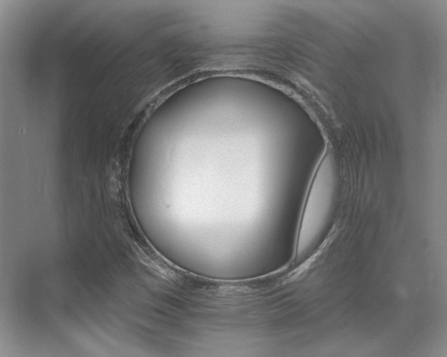 X0000076041449200609221107