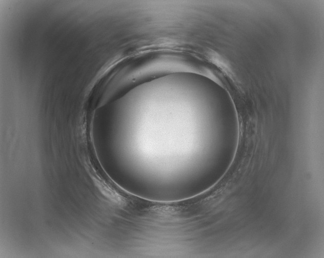X0000076041450200609221107