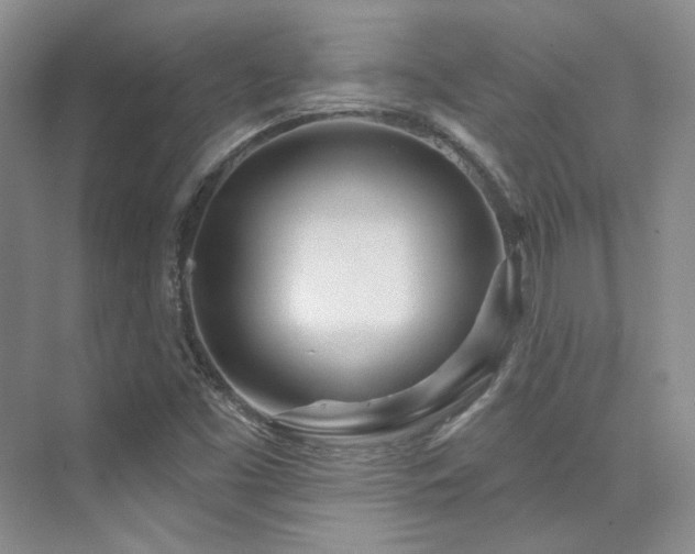 X0000076041453200609221107