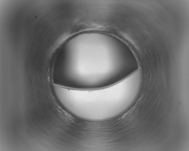 X0000076041455200609221107