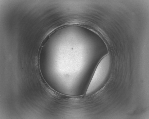 X0000076041465200609221107