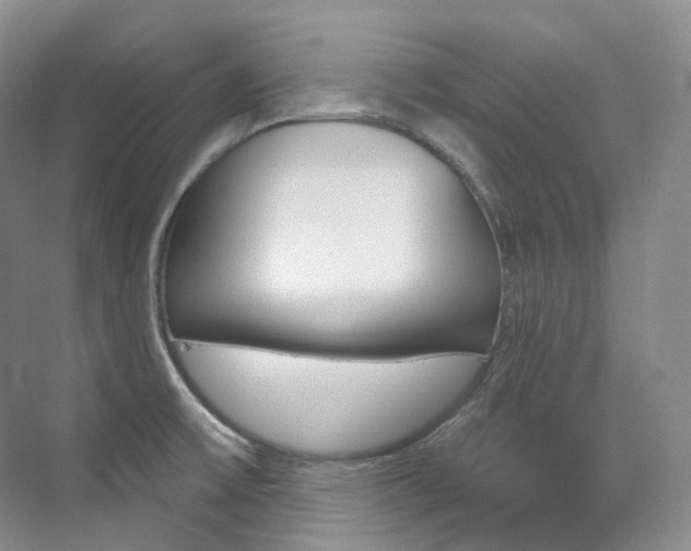 X0000076041475200609221107