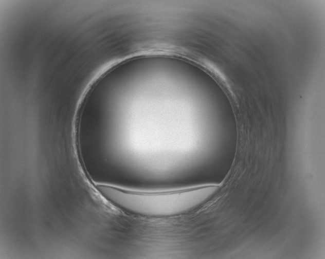 X0000076041480200609221107
