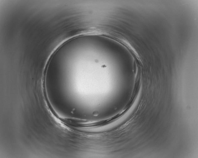 X0000076041484200609221107