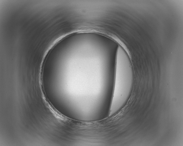 X0000076041485200609221107