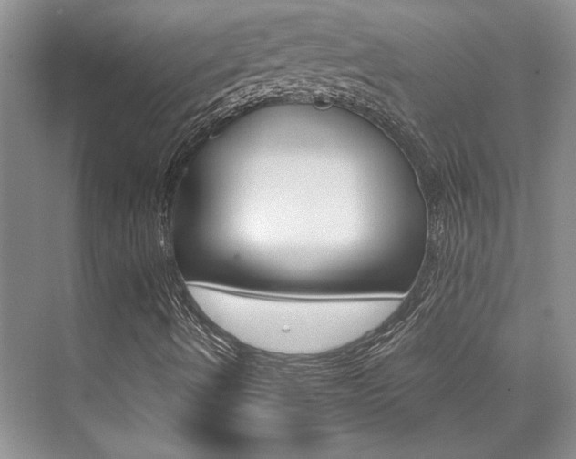 X0000076041490200609221106