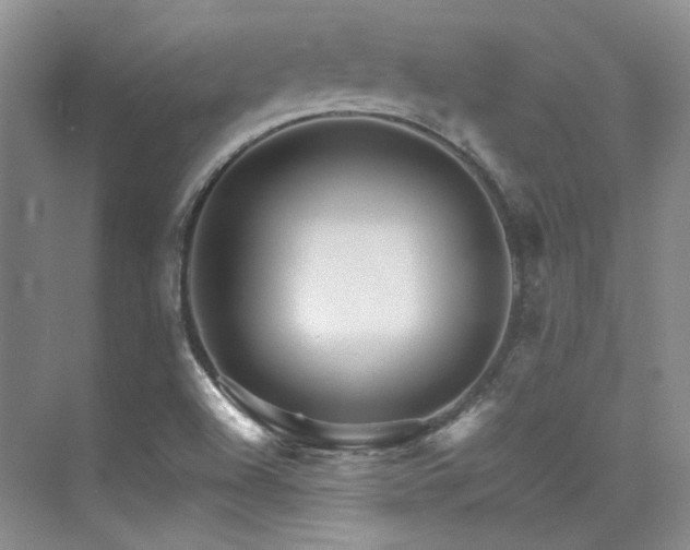 X0000076041504200609221106